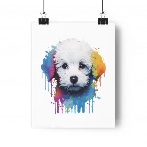 Bichon Frise Poster