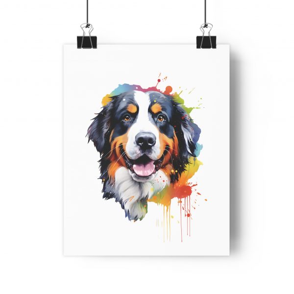 Bernese Mountain Dog Poster